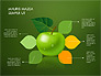 Green Apple Infographics slide 15
