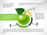 Green Apple Infographics slide 5