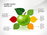 Green Apple Infographics slide 7