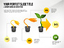Growth Infographics Concept slide 4