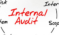 Internal Audit Diagram