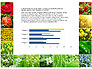 Data Driven Slides with Flowers slide 6