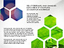 Ecology Infographic Presentation slide 6