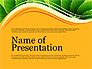 Illustrative Presentation Deck slide 9