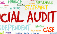 Financial Audit Presentation Concept