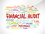 Financial Audit Presentation Concept slide 1