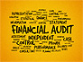 Financial Audit Presentation Concept slide 9
