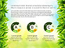 Green Report slide 6