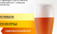 Beer Infographics Presentation Deck