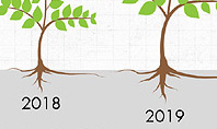 Growth of a Tree Diagram