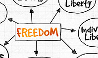 Freedom Organizational Chart