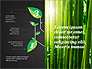 Growth a Plant Presentation Concept slide 13