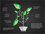 Growth a Plant Presentation Concept slide 9