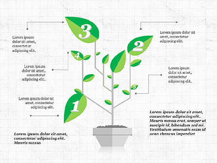 Growth a Plant Presentation Concept Presentation Template, Master Slide