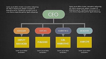 CEO Organization Chart for Presentations in PowerPoint and Keynote ...