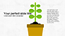 Plant Grow Presentation Template slide 1