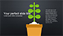 Plant Grow Presentation Template slide 8