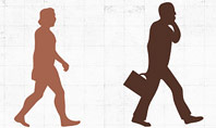 Evolution Diagram with Infographics for Presentations