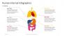 Human Internal - Medical Infographics slide 1