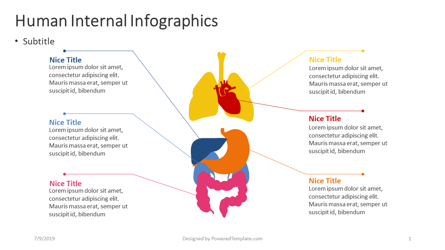 Human Internal - Medical Infographics Presentation Template, Master Slide