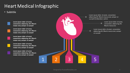 Human Heart Medical Infographic for Presentations in PowerPoint and ...