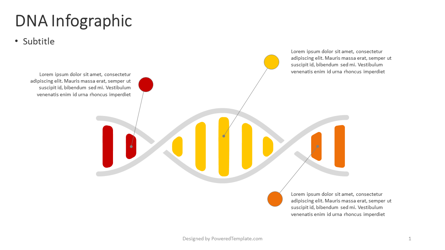 DNA Infographic Presentation Template, Master Slide