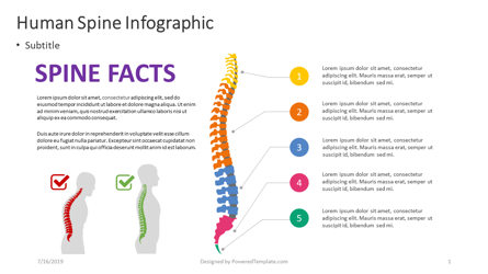 Human Spine Infographic Presentation Template, Master Slide