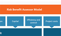Risk Benefit Assessor Model