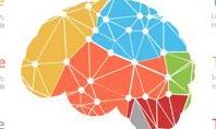 Cybernetic Brain Lobes Infographic