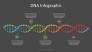 DNA Timeline Infographic slide 1