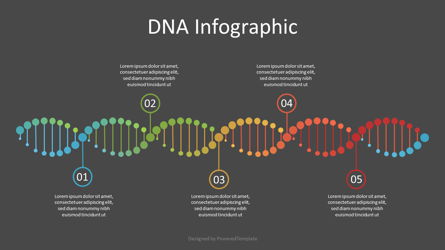 DNA Timeline Infographic Presentation Template, Master Slide