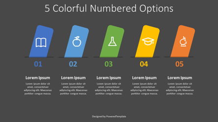 5 Colorful Numbered Options Presentation Template, Master Slide