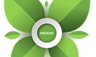 Organic Product Infographic