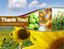 Sunflower, Apple, Grape And Corn slide 20