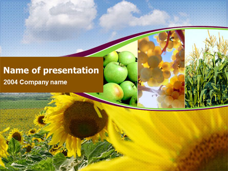 Sunflower, Apple, Grape And Corn Presentation Template, Master Slide