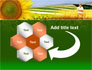 Agronomy slide 11