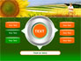 Agronomy slide 12