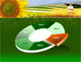 Agronomy slide 19