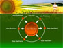 Agronomy slide 7