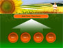 Agronomy slide 8