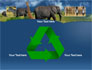 African Animals slide 10