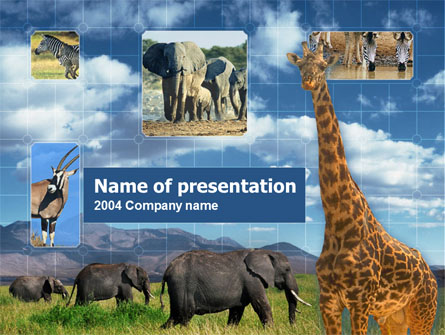 African Animals Presentation Template, Master Slide