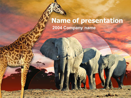 African Wildlife Presentation Template, Master Slide