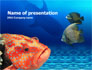 Fish In Aquarium slide 1