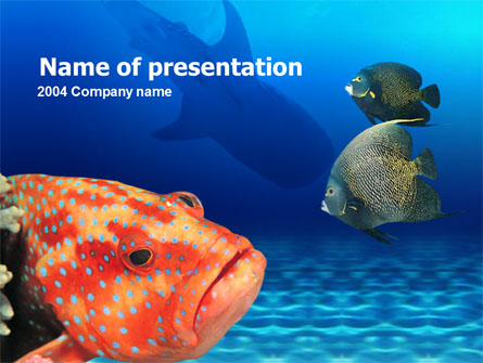 Fish In Aquarium Presentation Template, Master Slide