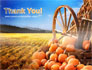 Pumpkin Field slide 20