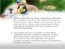 Baseball Rules slide 2
