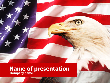 American Bald Eagle Presentation Template, Master Slide