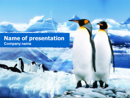 Penguin Couple Presentation Template, Master Slide