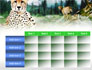 Gepard Free slide 15